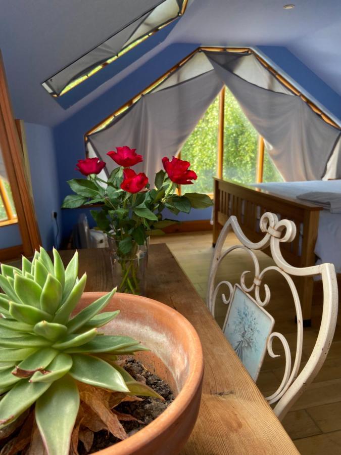 Ralph'S Barn Villa Newport  Ngoại thất bức ảnh