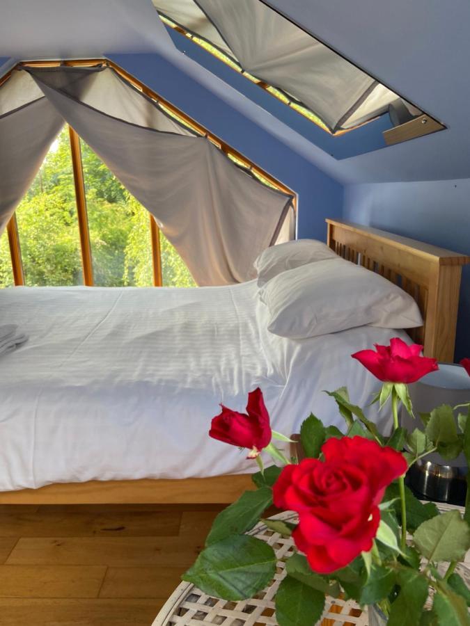 Ralph'S Barn Villa Newport  Ngoại thất bức ảnh